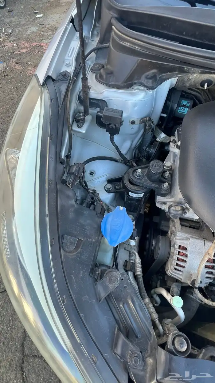 النترا 2016 وكالة ممشى قليل 21