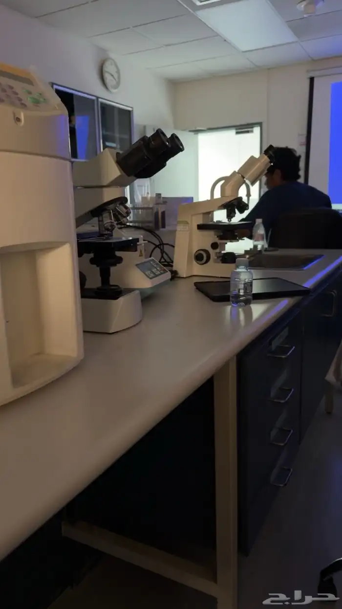 طقم الهلال 1