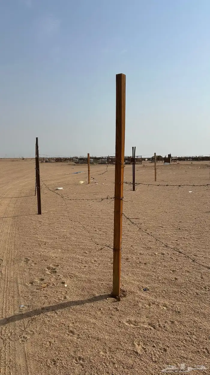 شبك غنم مراح غنم زربة غنم 3