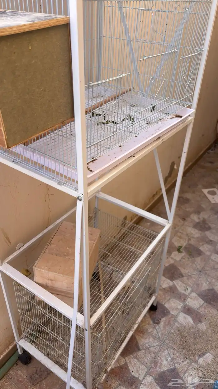 ستاند شبوك 601 مع شبوك 2