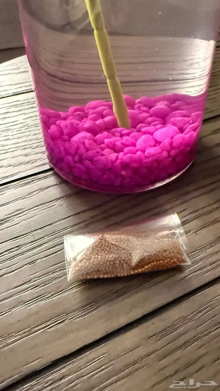 سمكة فايتر 2