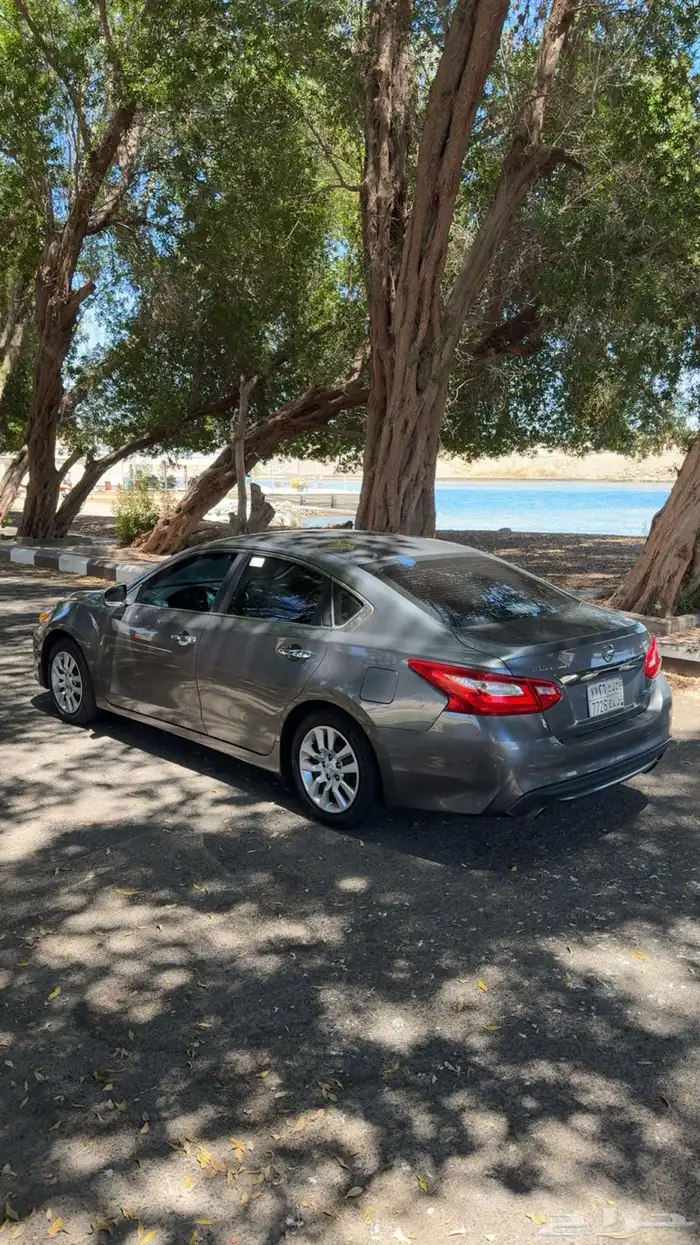 التيما 2017 ستاندر 1