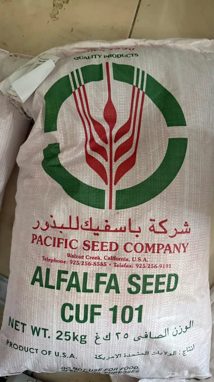 بذور امريكي باسفيك 0