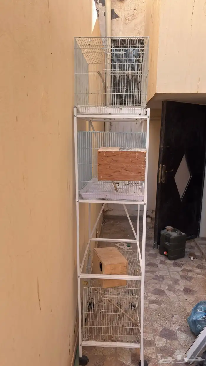 ستاند شبوك 601 مع شبوك 1