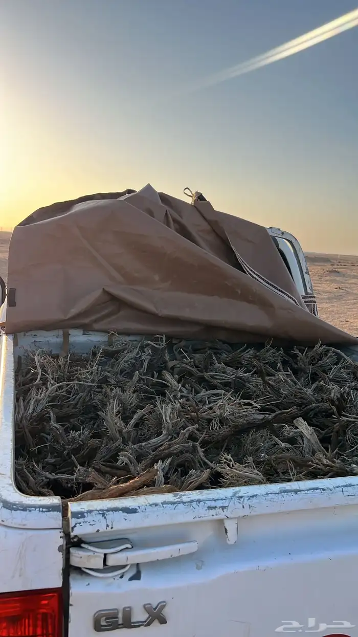 صندوق مسحه طيب 0