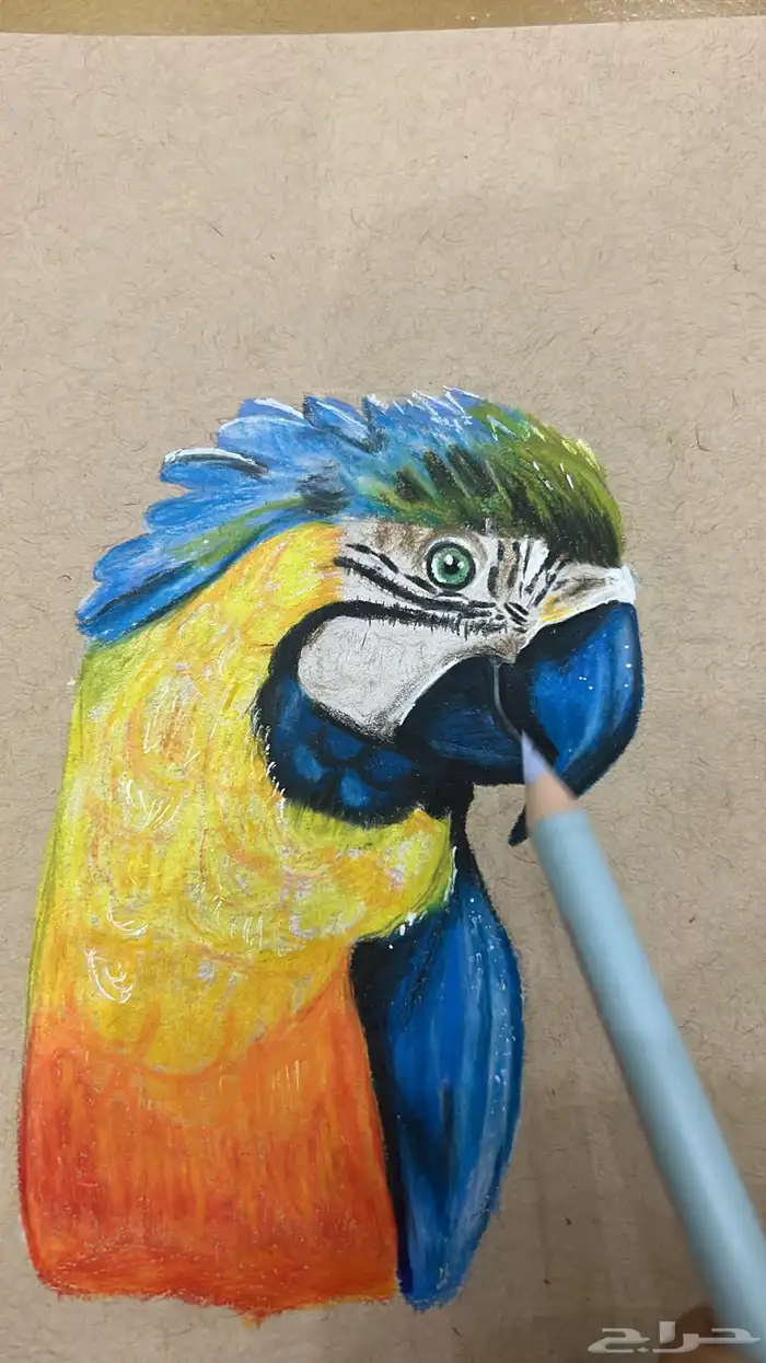 دورات تعليم الرسم الواقعي 28