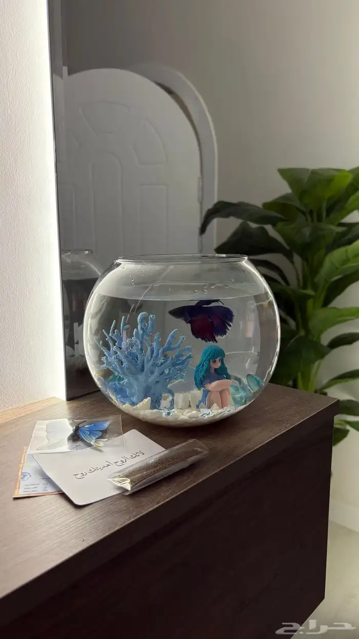 سمكه ماتقعد مع احد لازم لحالها 1