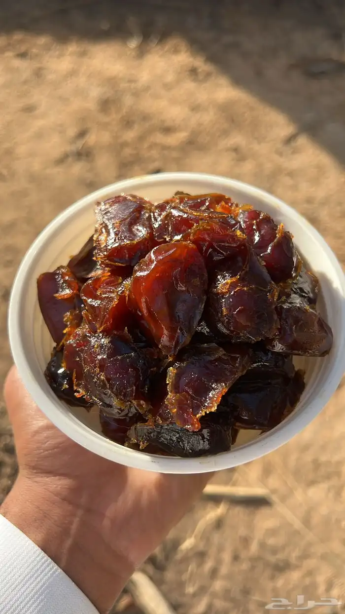 انتاج السنه هاذي فنخاء 1