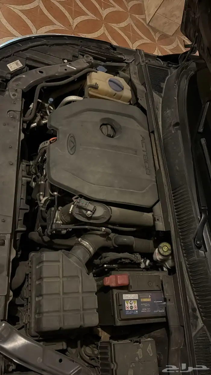 شيري اريوزن 6 برو 8