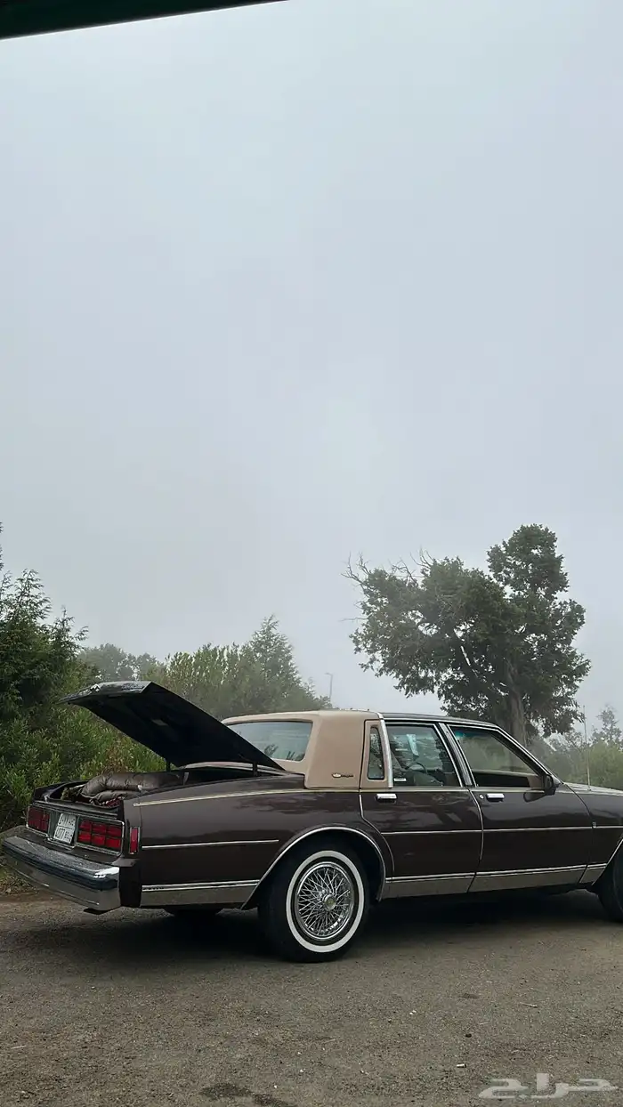 كابرس كلاسيك 1989 5