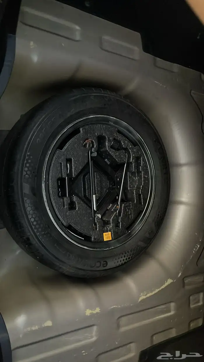 النترا 2023 14