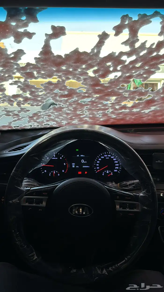 كادينزا ديزل 2018 6