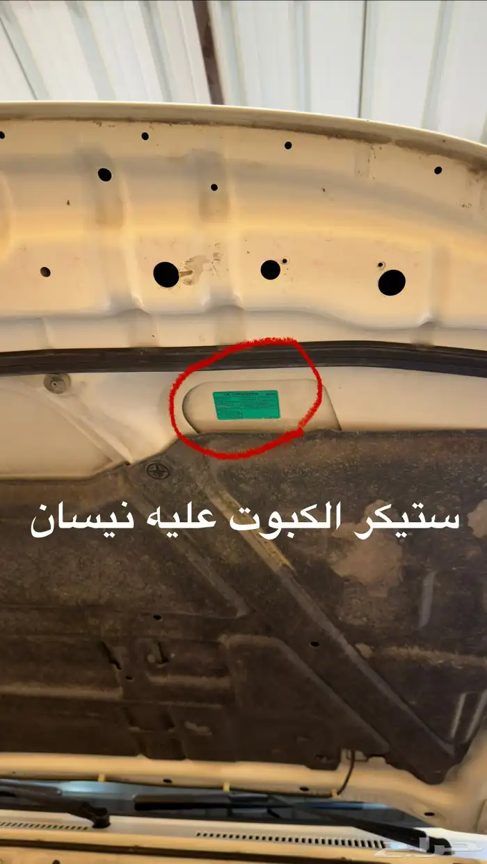 فتك سوبر سفاري 2017 14