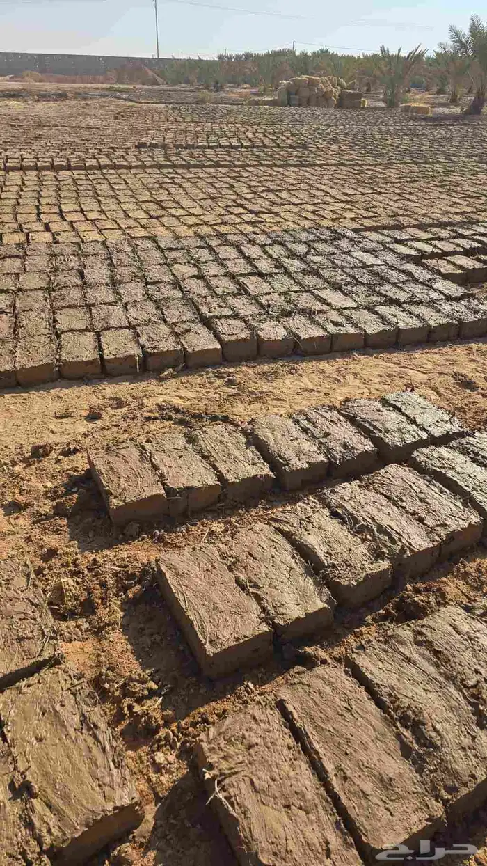 بناء وترميم جميع المباني الطينية القديمة تليس بلطين ساده-ومد 0