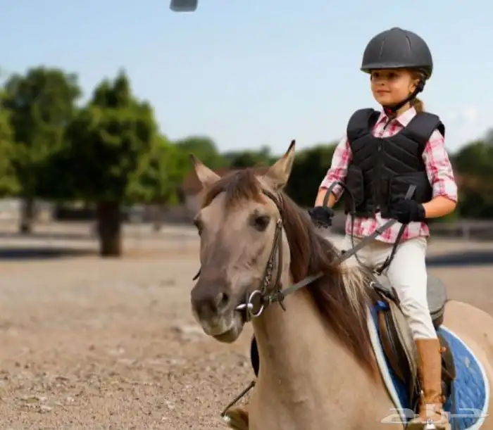 تدريب ركوب الخيل 3