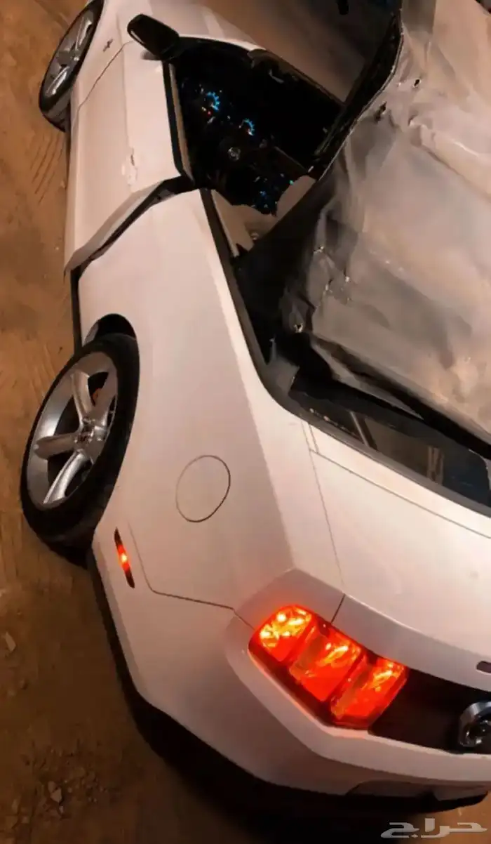 موستنق 2010 كشف 4