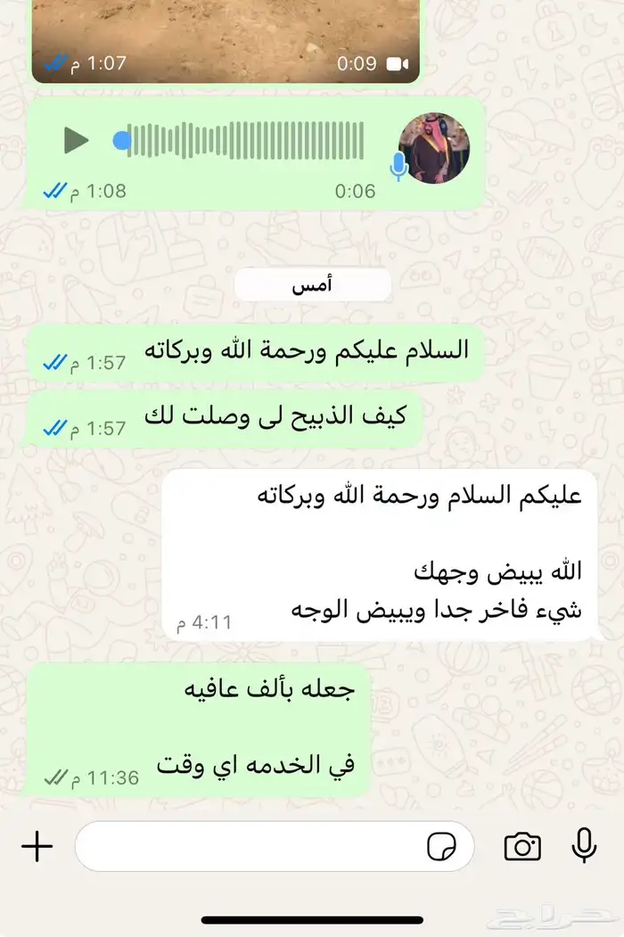 طليان نجد الرياض حي الشفاء أي مكان نوصل فيه ذبح باقي اربعه 7