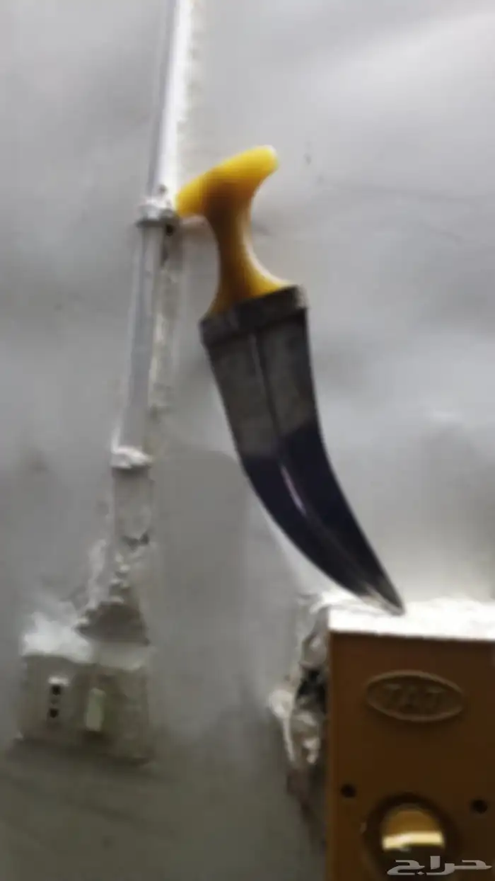 جنبيه مكعب زراف 2