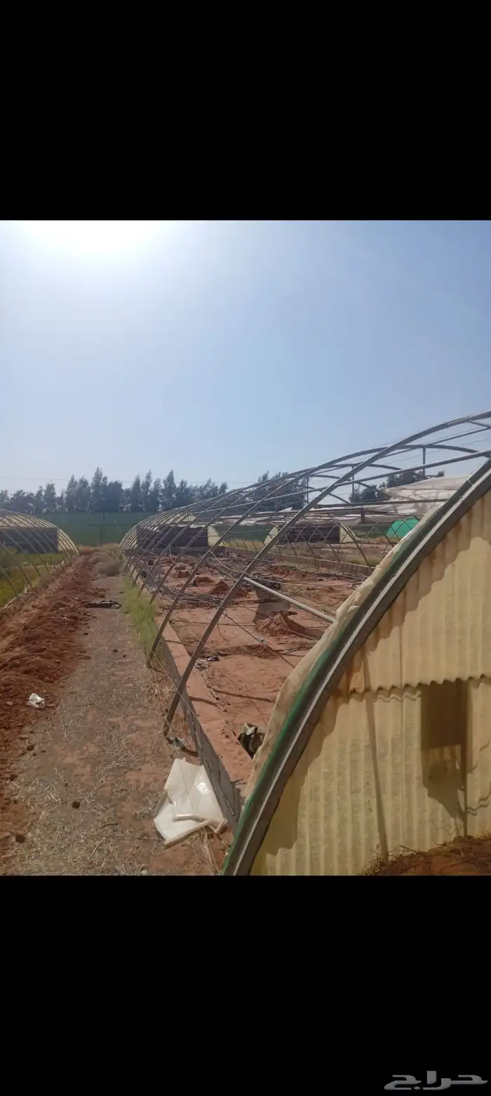 بيوت محميه للبيع 3