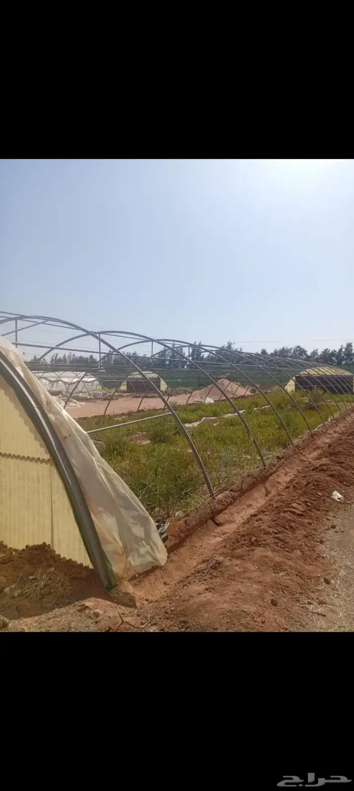 بيوت محميه للبيع 2