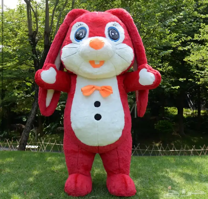 مهرجين و عروض ترفهية متنوعة 15