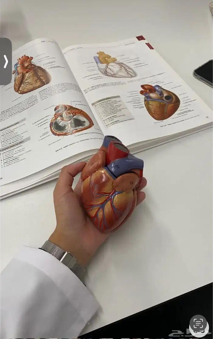 تدريس مواد الطب و طب الطوارئ EMT 0