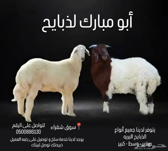 لدينا ذبايح بريه حري ونعيمي وذبح وتوصيل 0