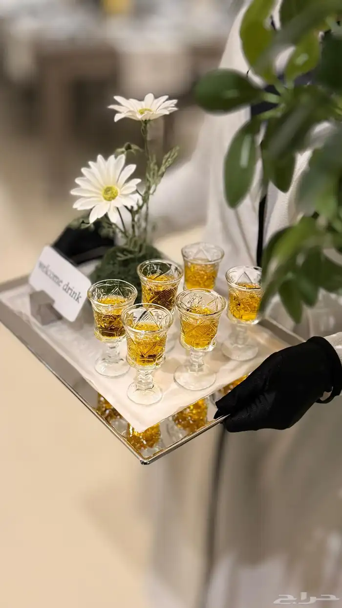 قهوجي وصبابين ومضيف 3