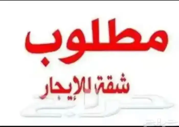 مطلوب شقة غرفتين ايجار غرب الدمام 0