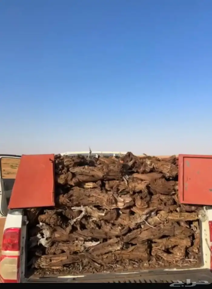 صندوق البيع 0