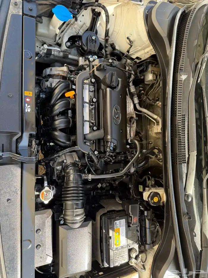 اكسنت 2019 نص فل 14