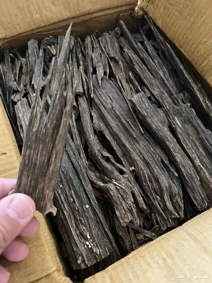 عود هندي طبيعي 1