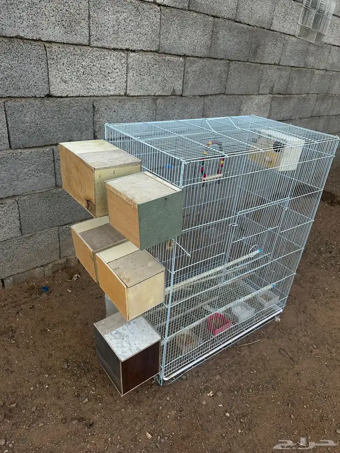 قفص مطير طيور 1