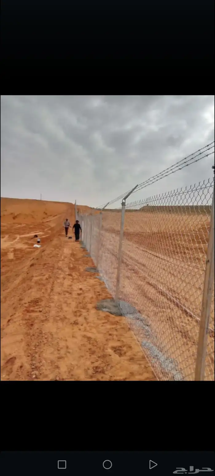 يوجد لدينا جميع انواع النخيل المثمر وازينه توريد لا أنحاء ال 0