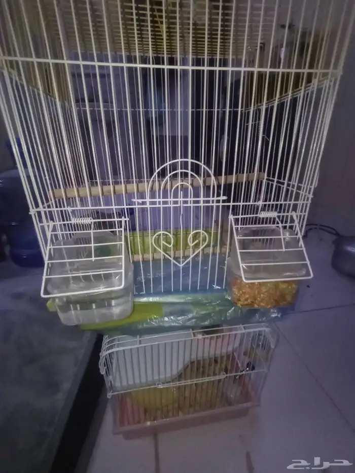 متوفر هامستر مع القفص و عصفور معا القفص للبيع 5