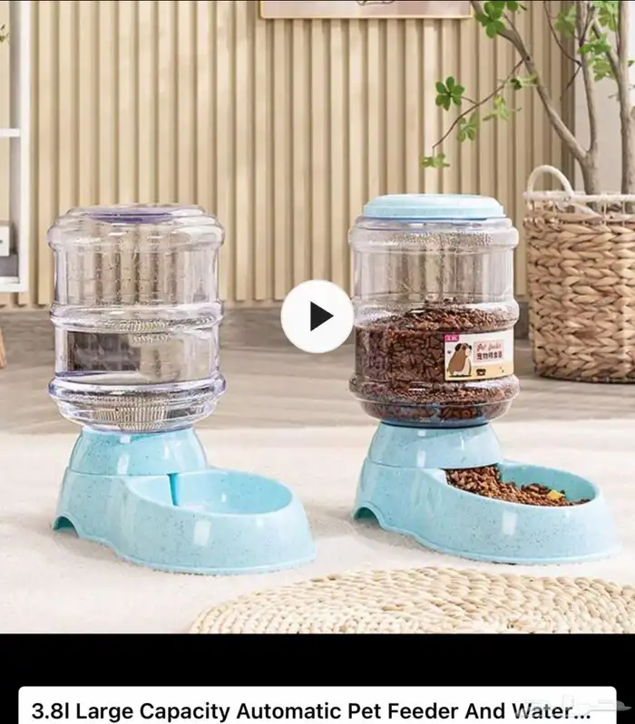 مطعم قطط او كلاب 0