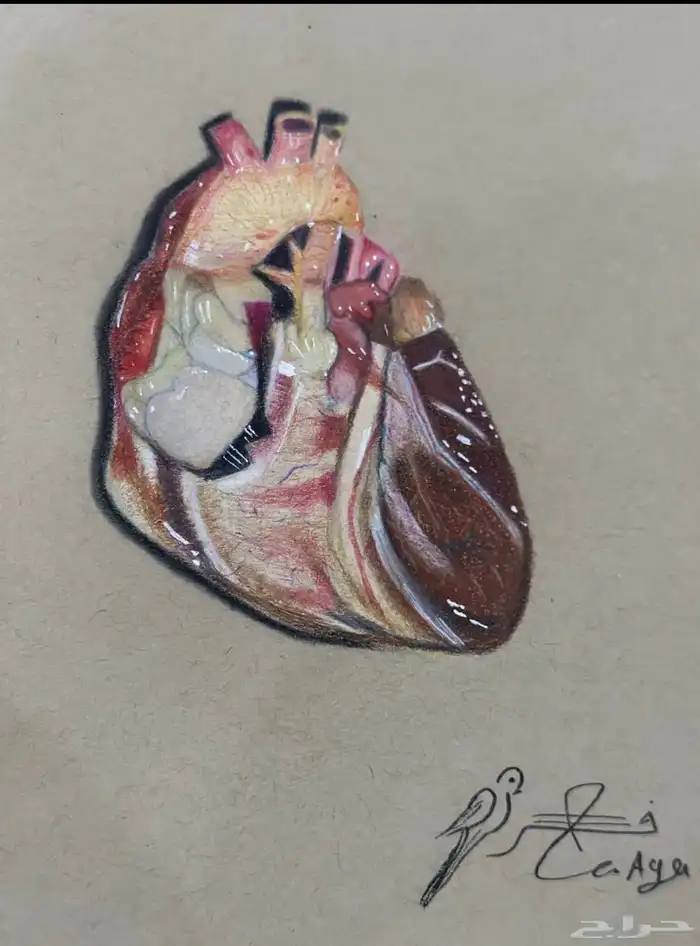 دورات تعليم الرسم الواقعي 0