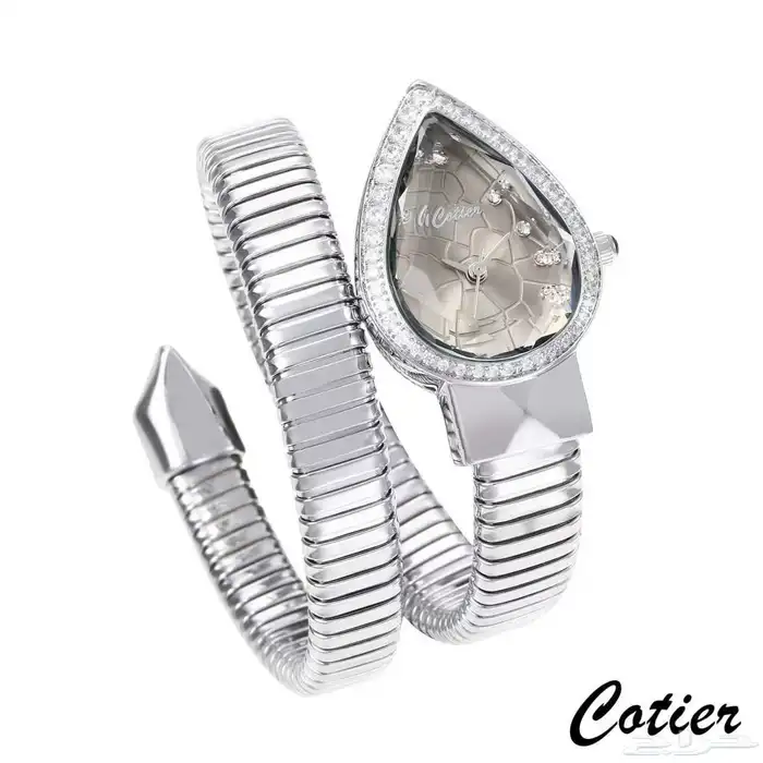 اكسسوارات ساعات 1