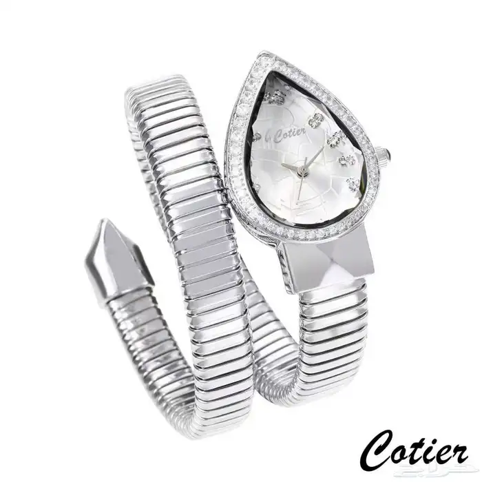 اكسسوارات ساعات 15