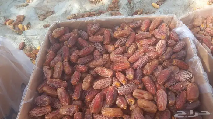 يوجد لدينا تمر 0