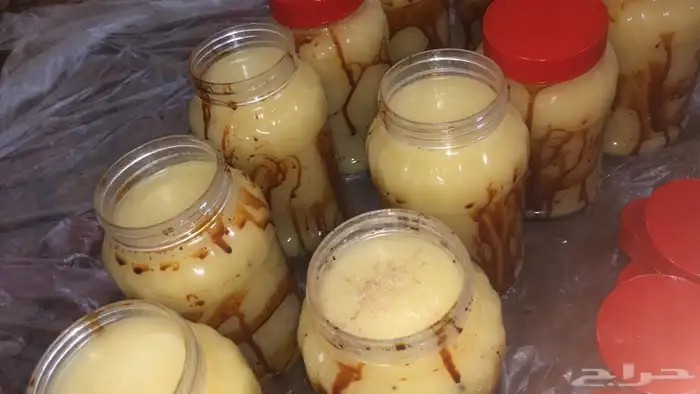 سمن غنم بري 0