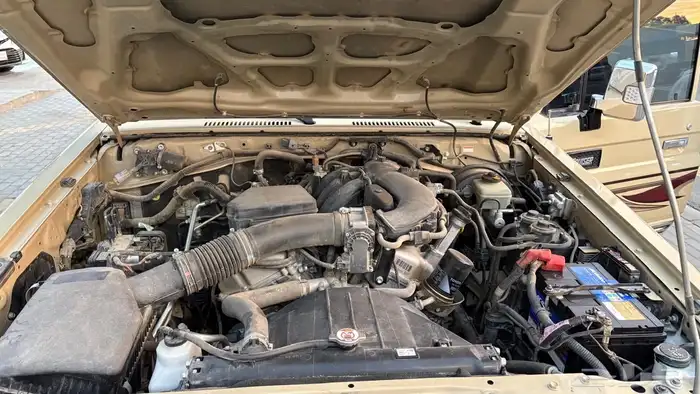 للبيع شاص بريمي 2019 شبه مخزن 6