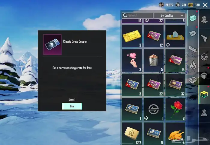 حساب ببجي للبيع بسعر رخيص 13