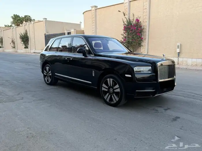 روز كولينان سلفر باج 2019 2