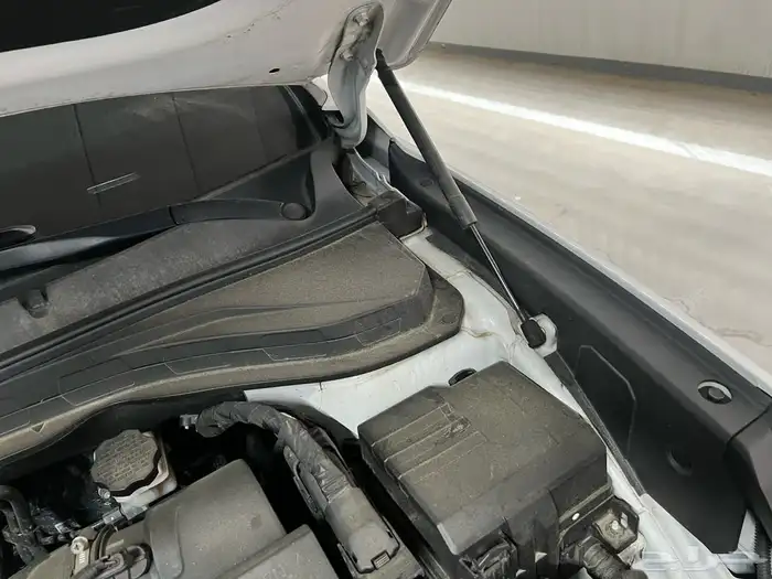 سنتافي 2029 وارد كوريا 9