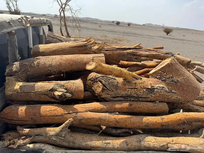 حطب مستورد. سمر 0