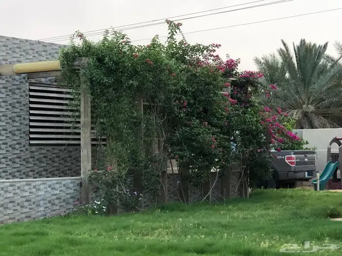 للبيع مزرعة عيون الجواء ( المليدا الشماليه) 3