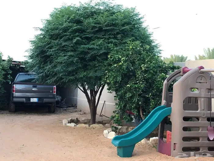 للبيع مزرعة عيون الجواء ( المليدا الشماليه) 19