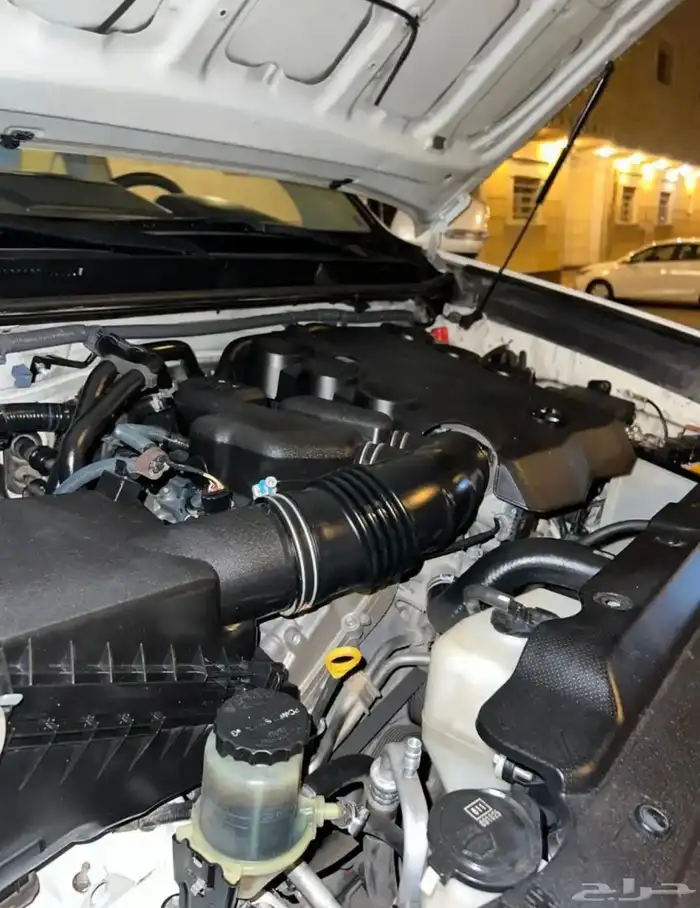 برادو 2014   6 سرندل 10