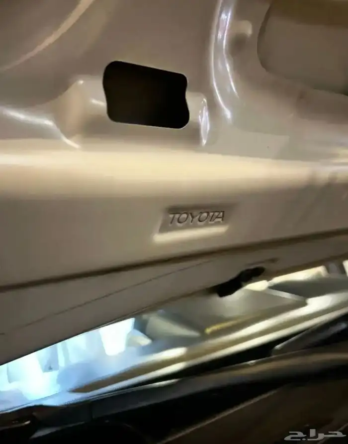 برادو 2014   6 سرندل 8